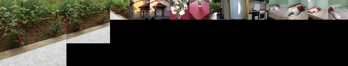 Airplane Apartment T&T