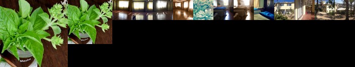 Surfer's Paradise Yoga&Food Garden@Costa Azul Los Cabos