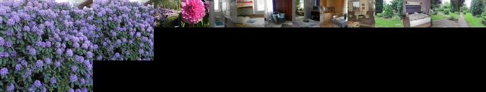Negenborn Hotels 12 Cheap Negenborn Hotel Deals Germany