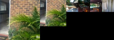 The Elegant Elephant