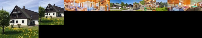 Penzion Pod Lesem Adrspach