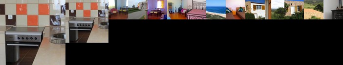 Avo das Bolachas - Home Shanti