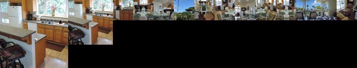 Hale Pua Villa - Breakers