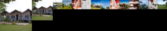 Hill Bank Crooked Tree