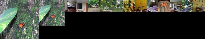 Hostal y Cabinas Anita - Bed and Breakfast