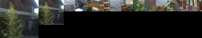 Oak Tree Apartment - Tolgy Lak