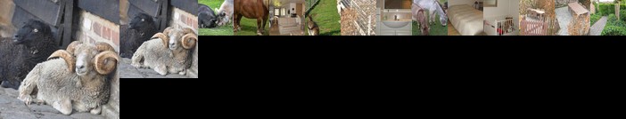 Vakantieverblijf-Beestenboel