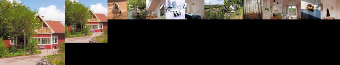 Escape to PaulssonPaleo