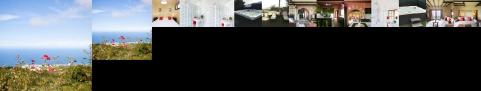 Casitas Las Uvas y las Vinas