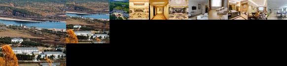 Zhang Zhongjing Health Club