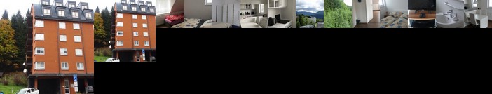 Apartman Bedrichov Spindleruv mlyn