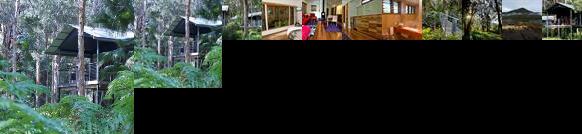 Treehouse Retreat at Diamond Waters