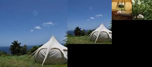 Wild Lotus Montserrat