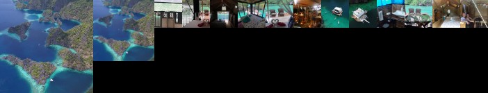 Paolyn Floating House Restaurant