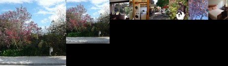 Homestay - Garden studio near Auckland Airport