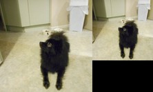 Homestay - kings court