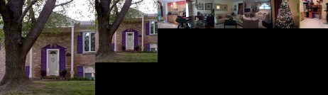 Homestay - Washington DC friendly host