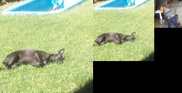 Homestay - Family of Athletes in Rosario