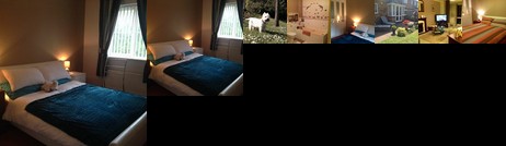 Homestay - Experienced host family in Cardiff