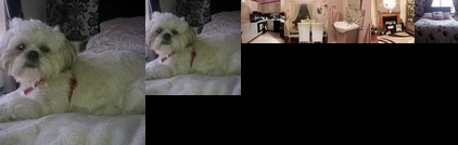 Homestay - Outgoing person who loves life