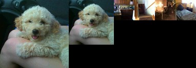 Homestay - No place LOVE like HOMESTAY o