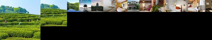 Sunlit Tree Hangzhou