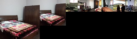 Holidays and Celebrations