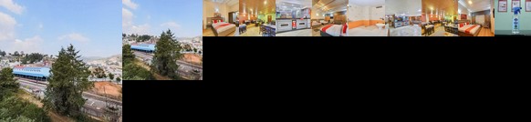 OYO 13231 Hotel Sapphire Garden View