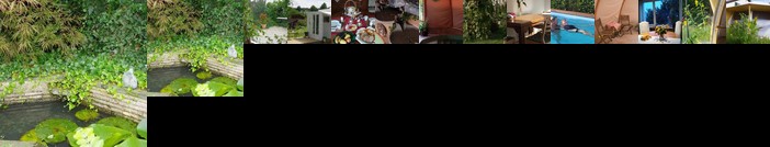 Rose-Marie's Paradies