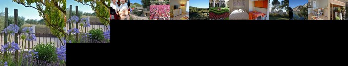 Les Lavandins-Gite Vincent