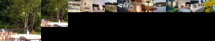 SunnySide-Cottage Ennistymon