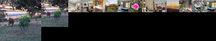 Seatrees Accommodation