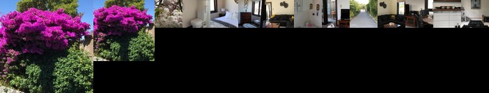 Casa Felina Apartment