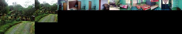 Greenland Guesthouse Kuala Tahan