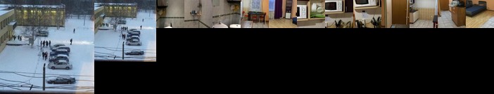 Apartment Pionerskaya 16