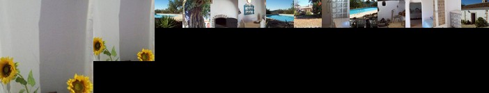 Casa do Monte da Portela