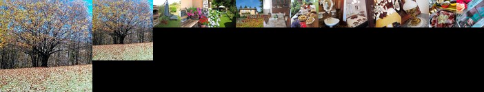 Le Giutte Bed & Breakfast