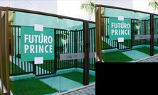 Flats Futuro Prince Prime