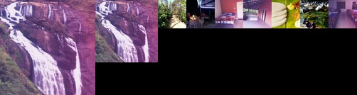 Homestay - Aroma Homestay Sakleshpur