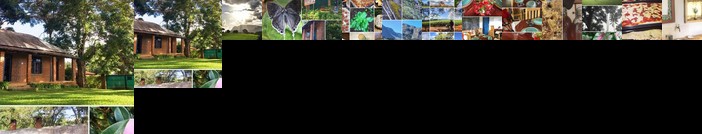 AfricaWildTruck Eco Camp & Lodge