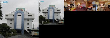 Restay Champion Adult Only