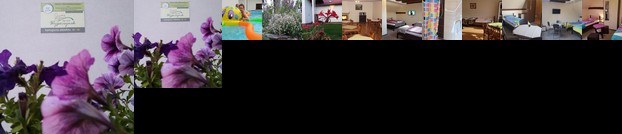 Agroturystyka Struzka