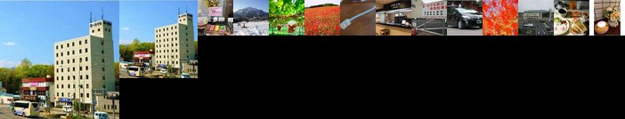 Daiichi Hotel Chichibu