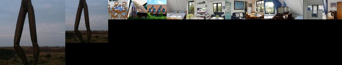 FH Austernfischer I/Nr 1