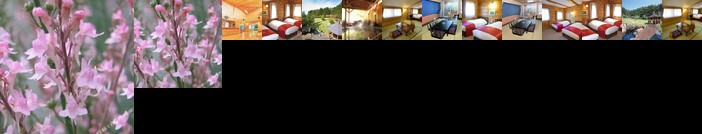 Spa&Restaurant Yunni no yu