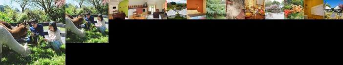 Silverstream Alpaca Farmstay & Tour