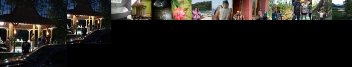 Adventure Homestay Meru Betiri