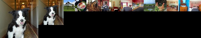 Connemara Country Lodge