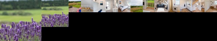 Pedersminde Guesthouse