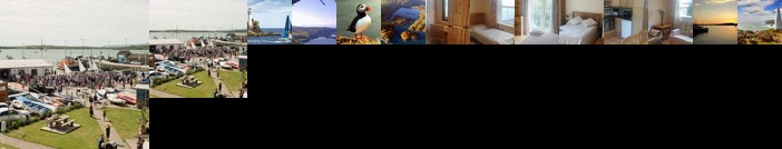 The Puffin Baltimore